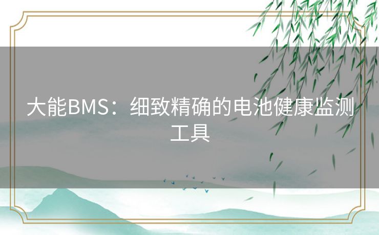 大能BMS：细致精确的电池健康监测工具