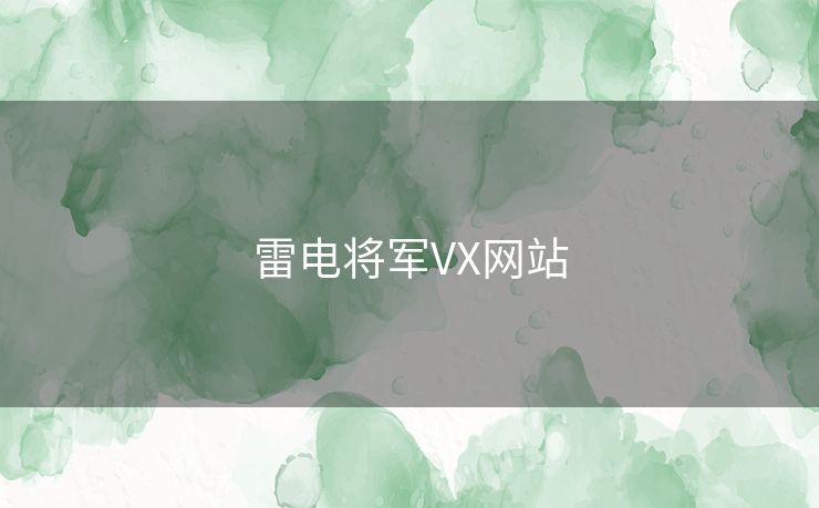 雷电将军VX网站