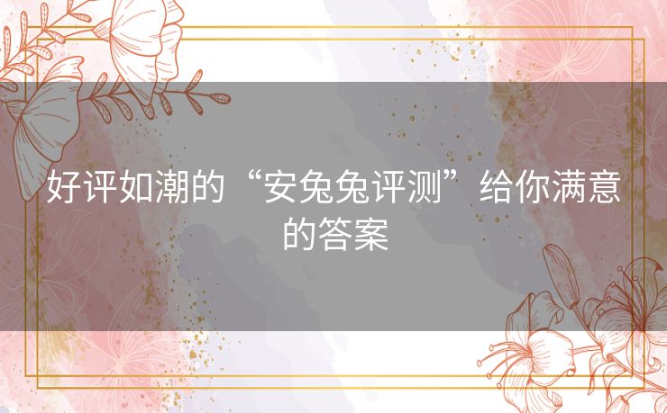 好评如潮的“安兔兔评测”给你满意的答案