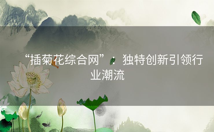 “插菊花综合网”：独特创新引领行业潮流