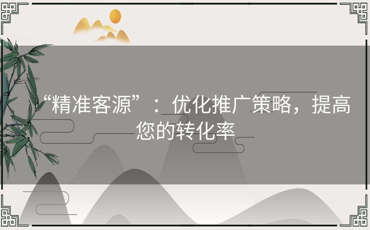 “精准客源”：优化推广策略，提高您的转化率
