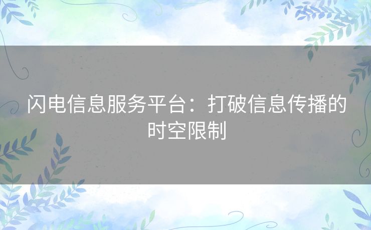 闪电信息服务平台：打破信息传播的时空限制