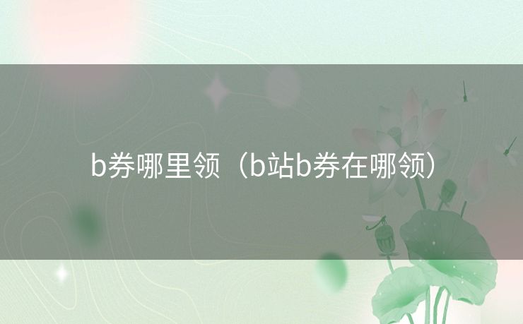 b券哪里领（b站b券在哪领）