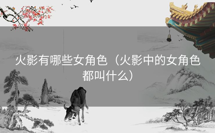 火影有哪些女角色（火影中的女角色都叫什么）