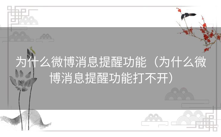 为什么微博消息提醒功能（为什么微博消息提醒功能打不开）