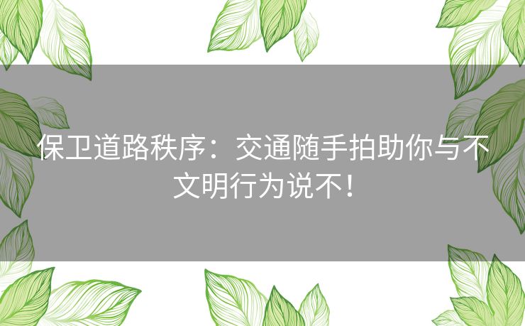 保卫道路秩序：交通随手拍助你与不文明行为说不！