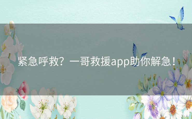 紧急呼救？一哥救援app助你解急！