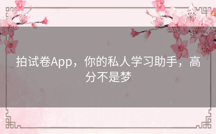 拍试卷App，你的私人学习助手，高分不是梦