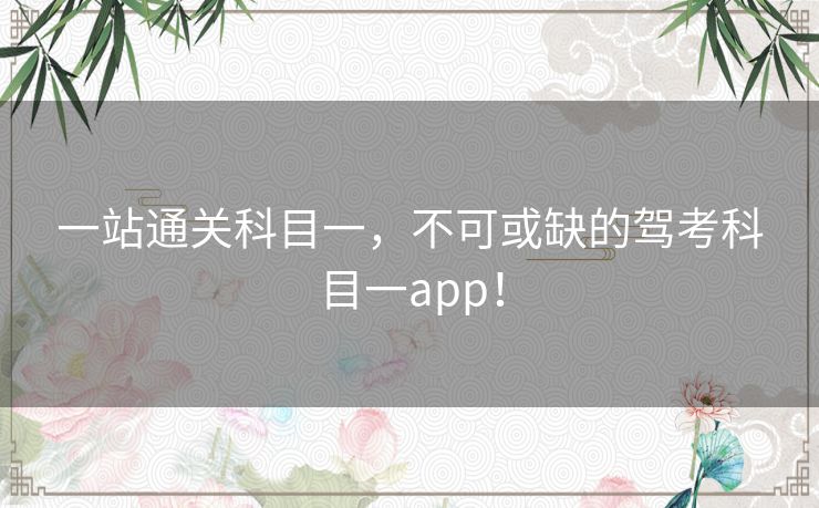 一站通关科目一，不可或缺的驾考科目一app！