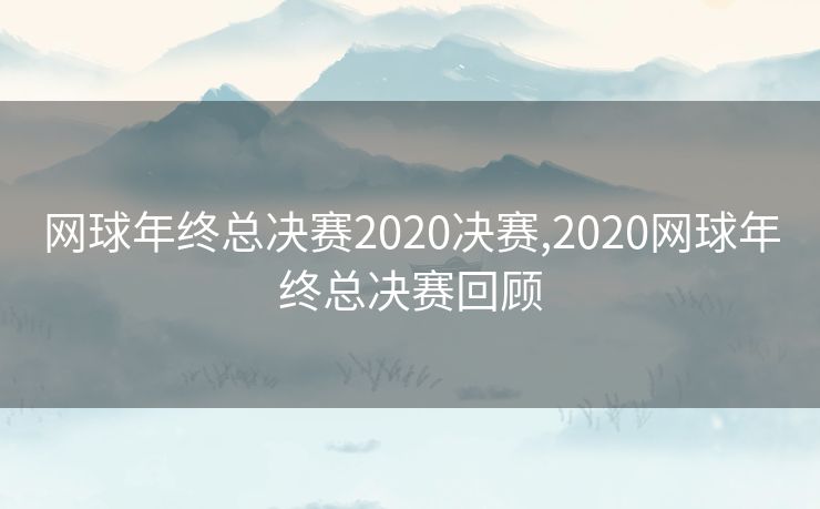 网球年终总决赛2020决赛,2020网球年终总决赛回顾