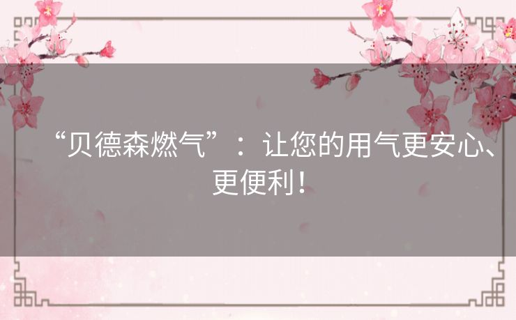“贝德森燃气”：让您的用气更安心、更便利！