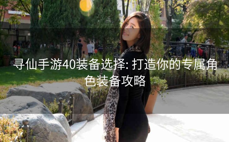 寻仙手游40装备选择: 打造你的专属角色装备攻略