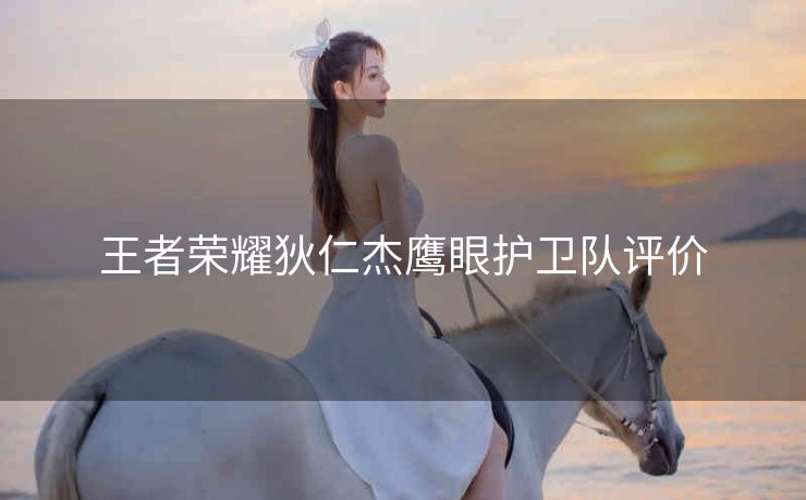 王者荣耀狄仁杰鹰眼护卫队评价