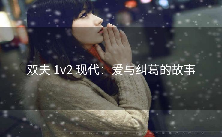 双夫 1v2 现代：爱与纠葛的故事