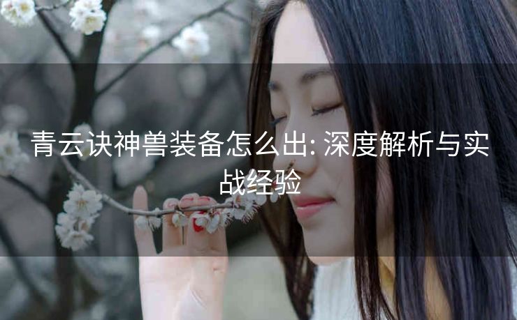 青云诀神兽装备怎么出: 深度解析与实战经验