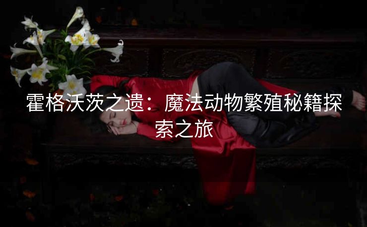 霍格沃茨之遗：魔法动物繁殖秘籍探索之旅
