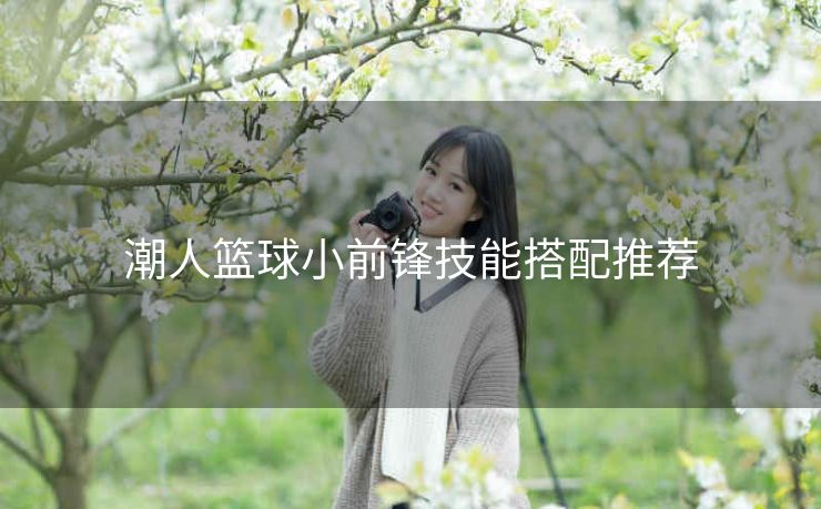潮人篮球小前锋技能搭配推荐