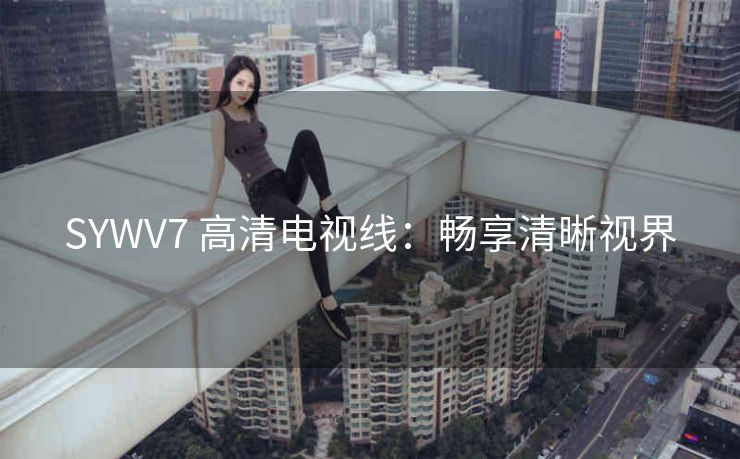 SYWV7 高清电视线：畅享清晰视界