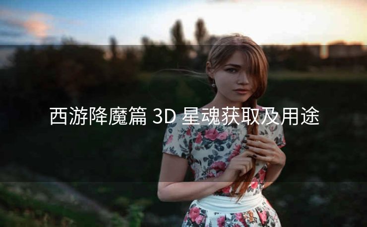 西游降魔篇 3D 星魂获取及用途