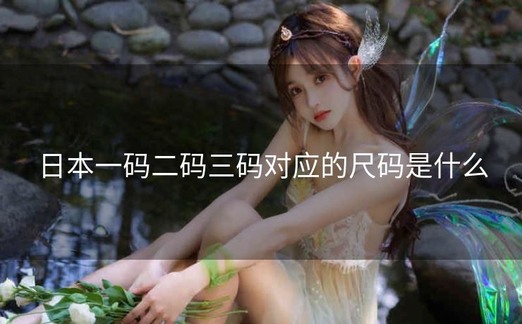 日本一码二码三码对应的尺码是什么