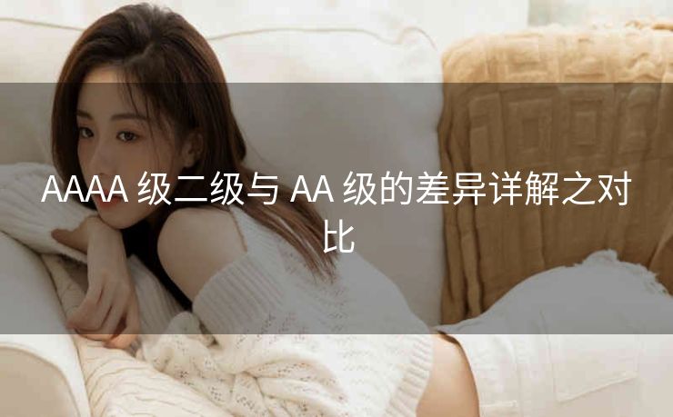 AAAA 级二级与 AA 级的差异详解之对比