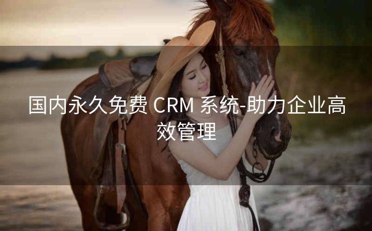 国内永久免费 CRM 系统-助力企业高效管理