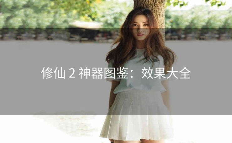 修仙 2 神器图鉴：效果大全