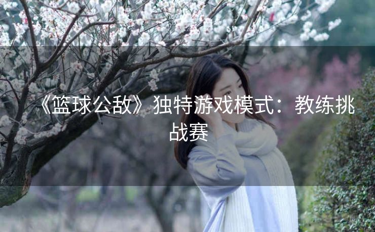 《篮球公敌》独特游戏模式：教练挑战赛