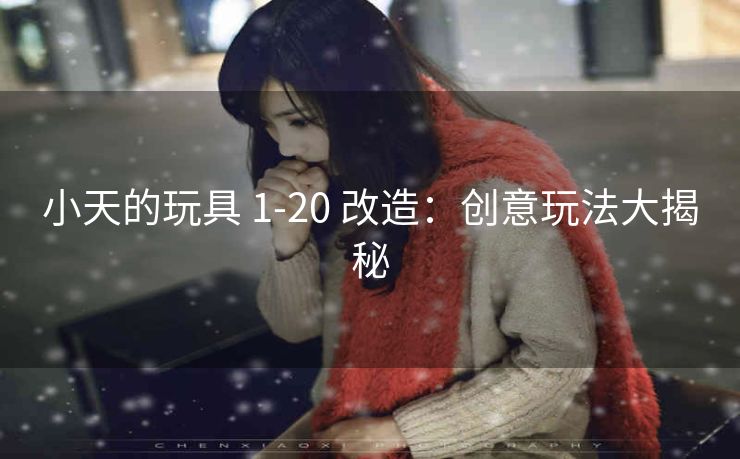 小天的玩具 1-20 改造：创意玩法大揭秘