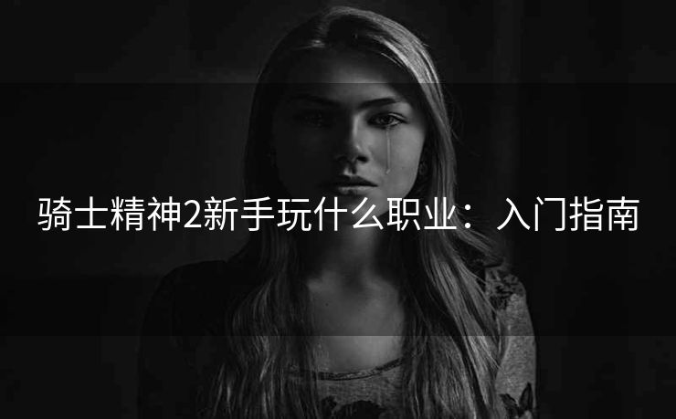 骑士精神2新手玩什么职业：入门指南