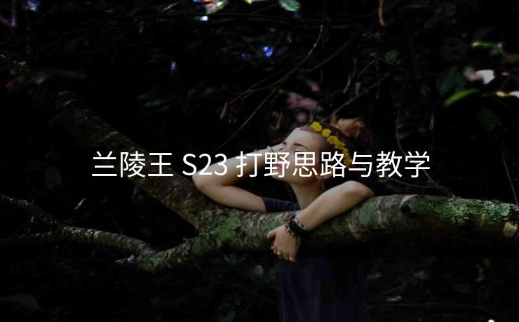 兰陵王 S23 打野思路与教学