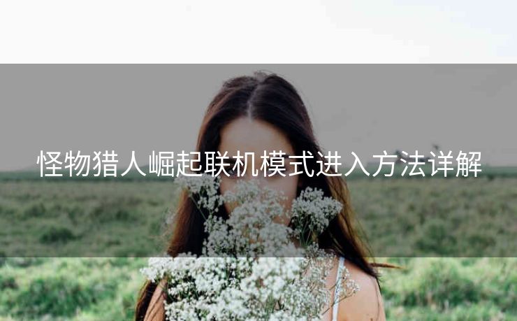 怪物猎人崛起联机模式进入方法详解