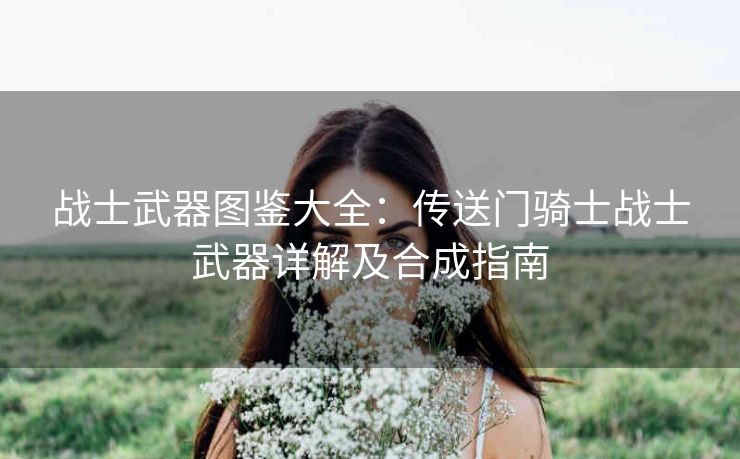 战士武器图鉴大全：传送门骑士战士武器详解及合成指南