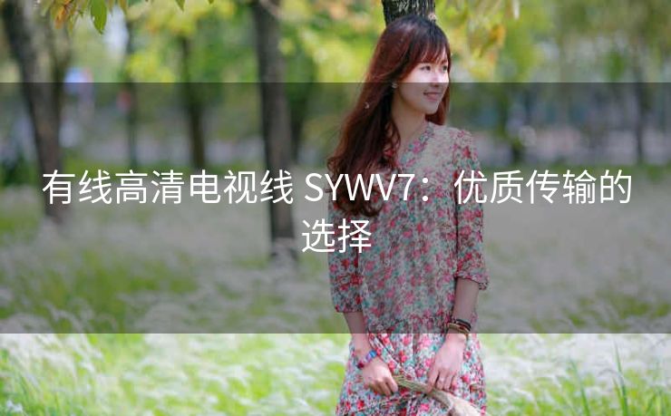有线高清电视线 SYWV7：优质传输的选择