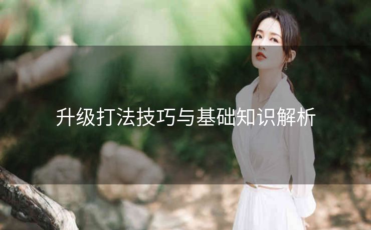 升级打法技巧与基础知识解析