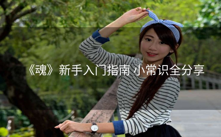 《魂》新手入门指南 小常识全分享