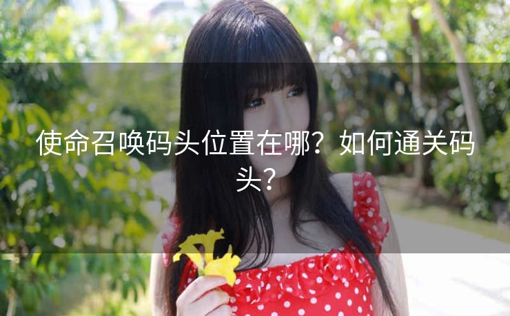 使命召唤码头位置在哪？如何通关码头？