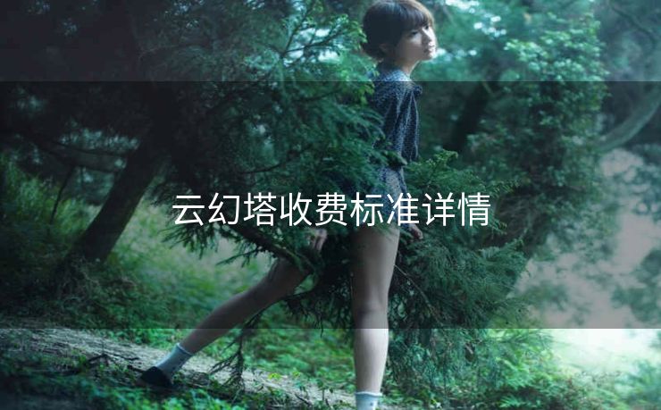 云幻塔收费标准详情