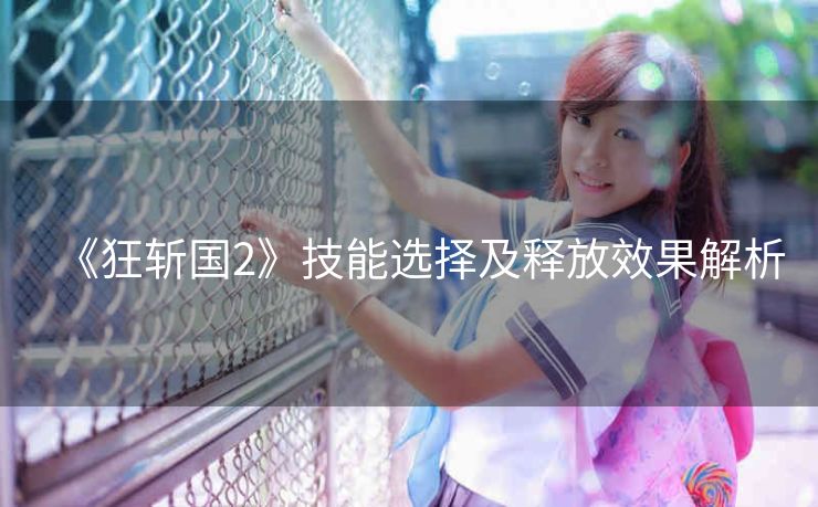 《狂斩国2》技能选择及释放效果解析