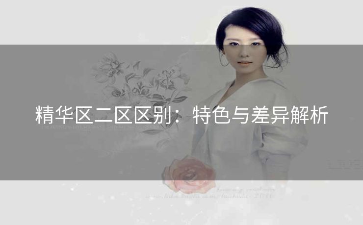 精华区二区区别：特色与差异解析