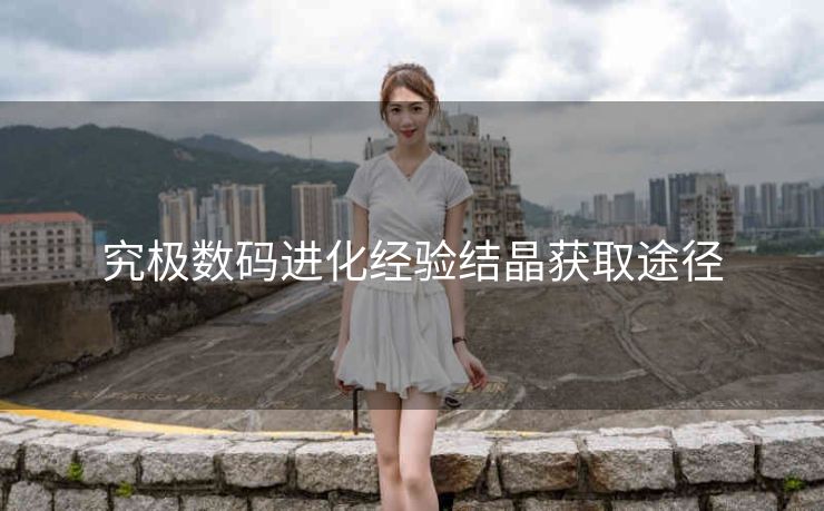 究极数码进化经验结晶获取途径
