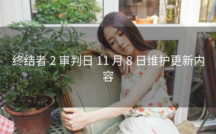 终结者 2 审判日 11 月 8 日维护更新内容