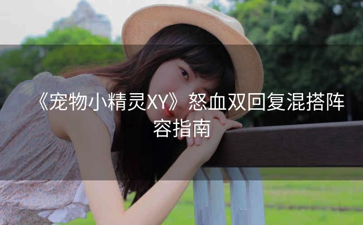 《宠物小精灵XY》怒血双回复混搭阵容指南