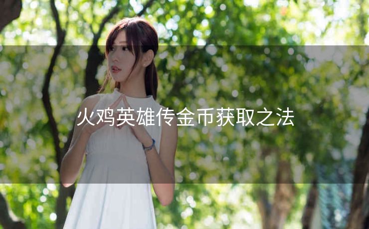 火鸡英雄传金币获取之法