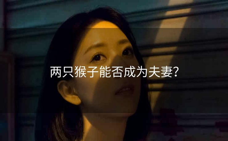 两只猴子能否成为夫妻？