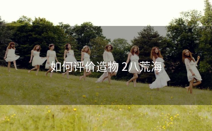 如何评价造物 2八荒海