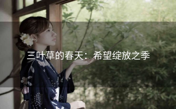 三叶草的春天：希望绽放之季