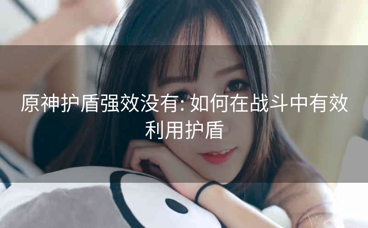 原神护盾强效没有: 如何在战斗中有效利用护盾