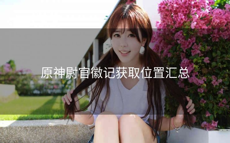 原神尉官徽记获取位置汇总