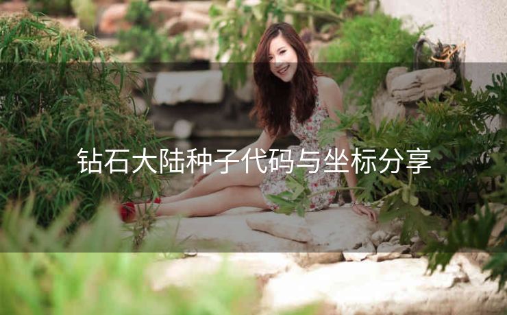 钻石大陆种子代码与坐标分享